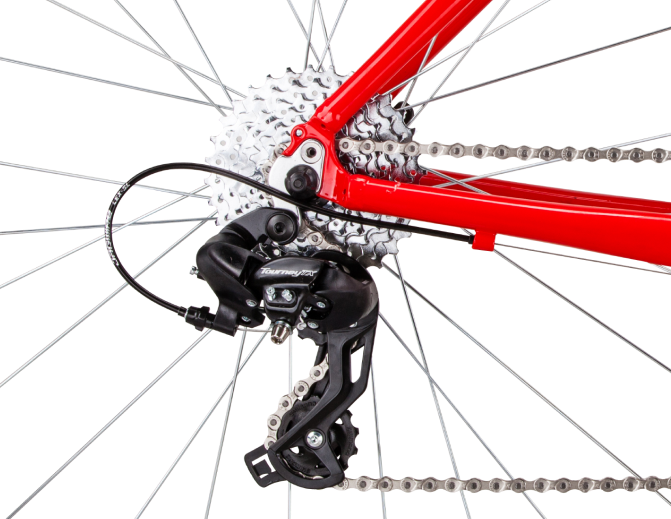 Купить BEAR BIKE Amsterdam