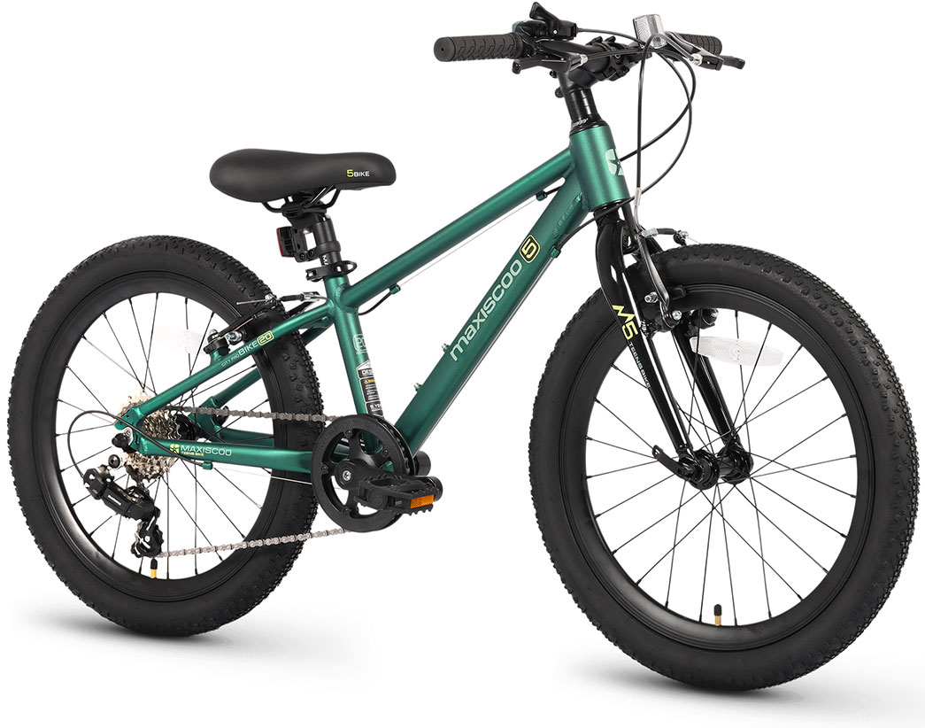Купить MAXISCOO 5Bike 20 2026