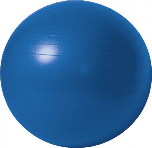 Купить Мяч гимнастический IRON PEOPLE IR97403/антиразрыв/ 55 см