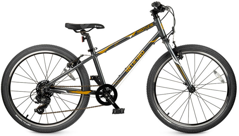 Купить INTRINO Neptune 24 2026