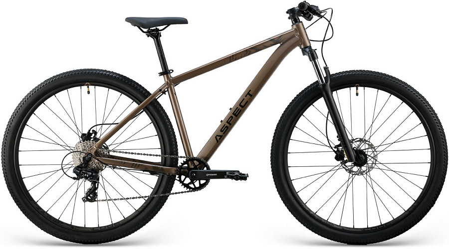Купить ASPECT Radium Pro 29 2025