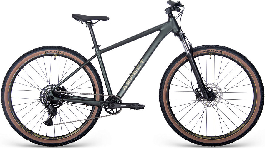 Купить ASPECT Cobalt Pro 29 2025