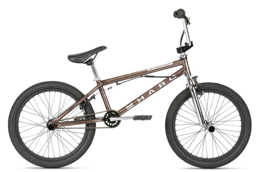 Pro dlx 2025