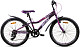 Купить AIST Rosy Junior 1.0 2024