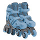 Купить Ролики Globber Learning Inline Skates 2-in-1