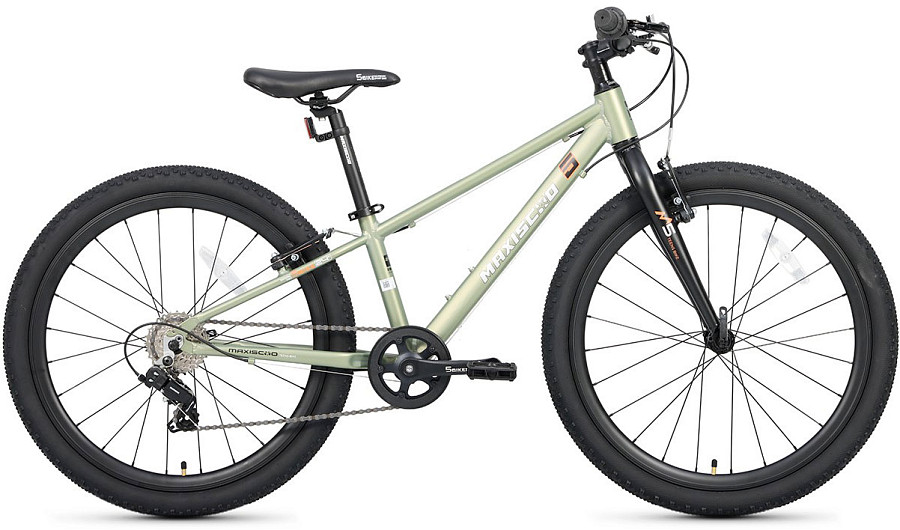 Купить MAXISCOO 5Bike 24 2025