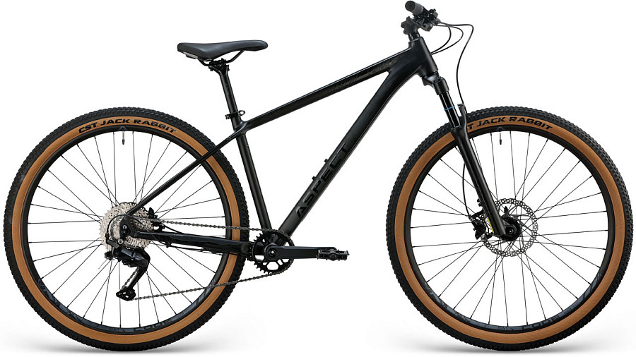 Купить ASPECT Air 29 2025