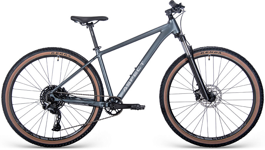 Купить ASPECT Cobalt Elite 29 2025