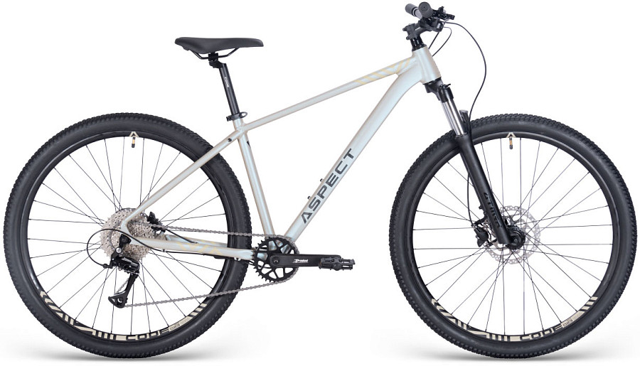 Купить ASPECT Nickel Pro 29 2025