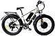 Купить Электровелосипед ELBIKE Phantom Twix 2x500W camouflage