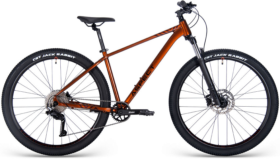 Купить ASPECT Nickel Elite 29 2025