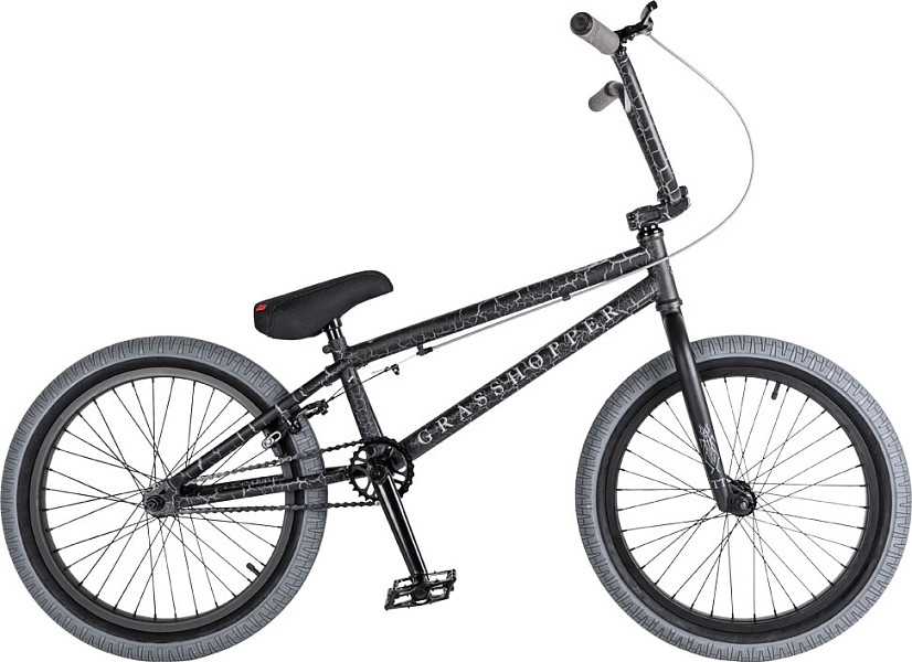 TECH TEAM BMX Grasshopper 2021 27