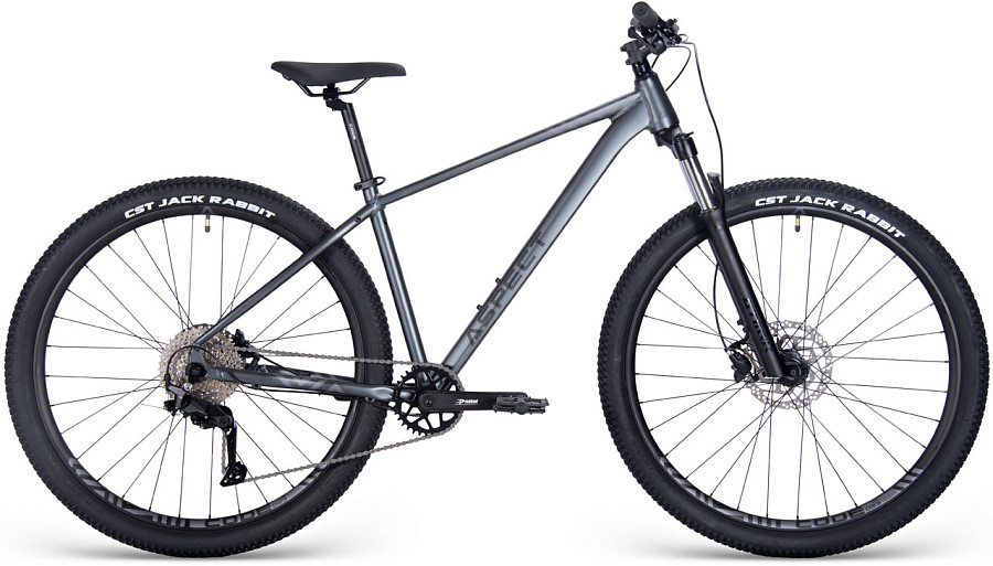 Купить ASPECT Nickel Elite 29 2025